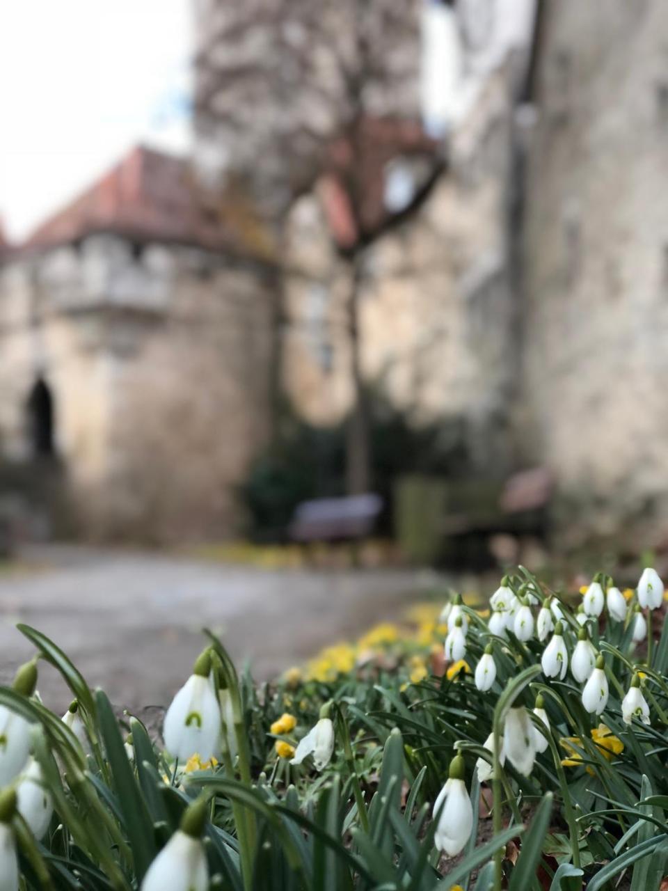 Gaestehaus Eberlein Rothenburg ob der Tauber Ngoại thất bức ảnh